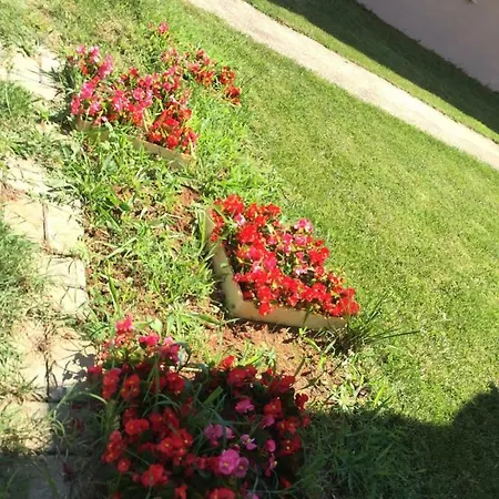 Kalpe Houses לינה וארוחת בוקר Kerpe